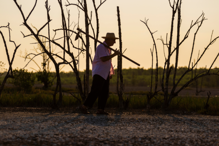 Adobe Stock 243836024