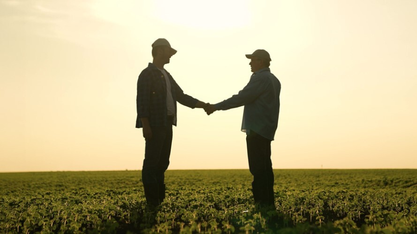 Sindicato protagonista 2