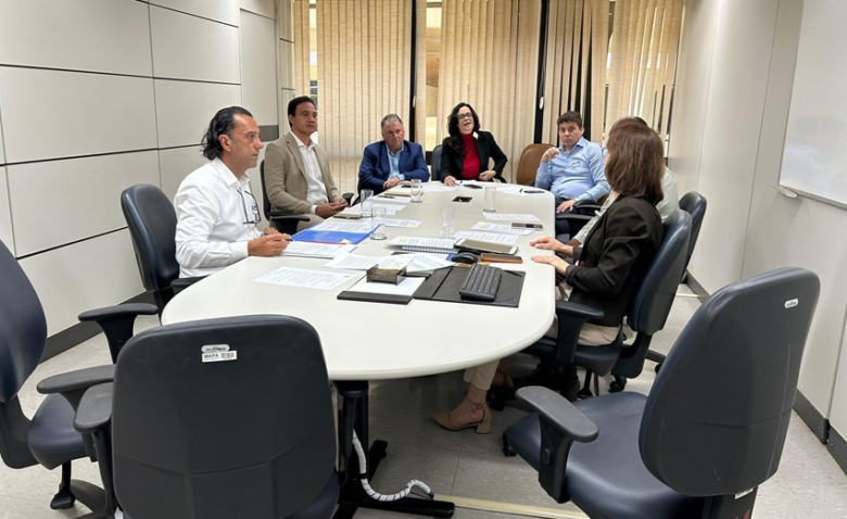 Classificacao graos mapa dipov