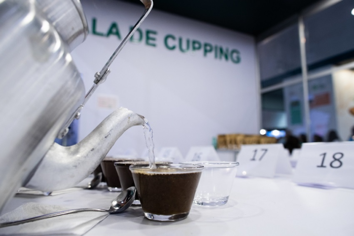 Cupping cafe