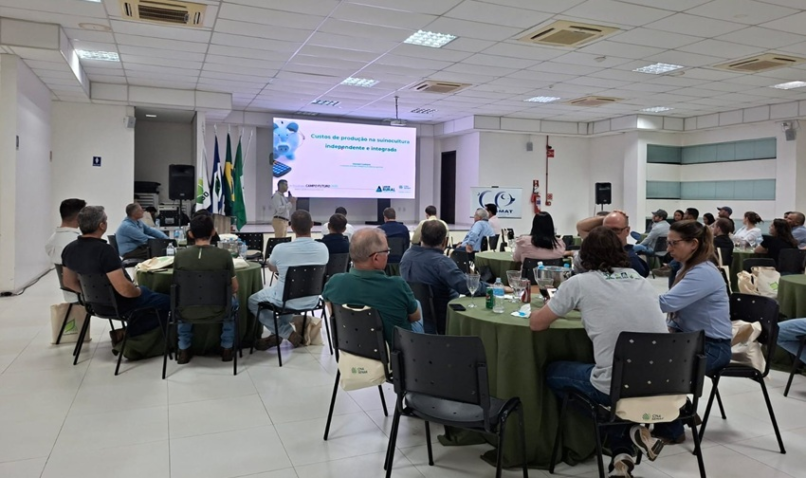 Campo futuro mt suinocultura