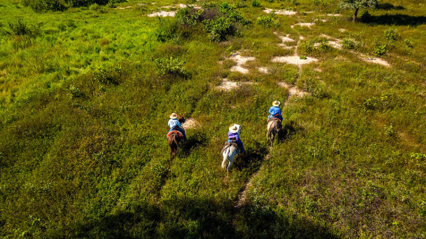 54554763033 b0fe69d65e c