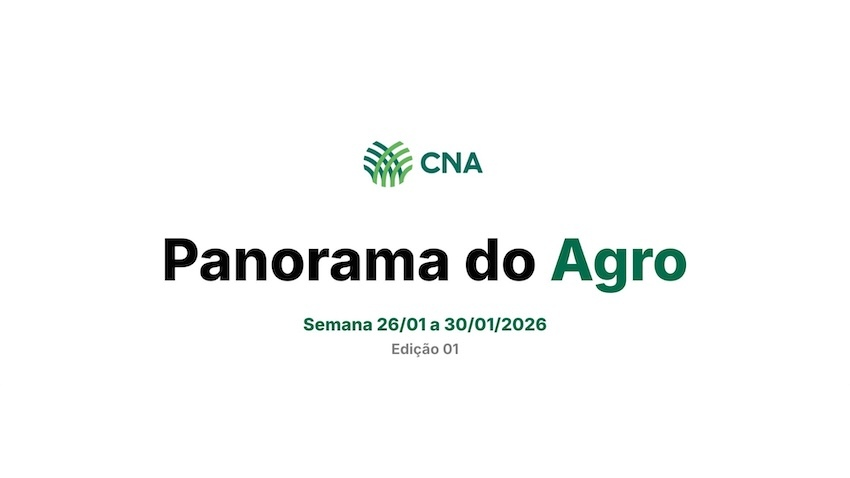 Panorama do Agro 2026 ed01 banner