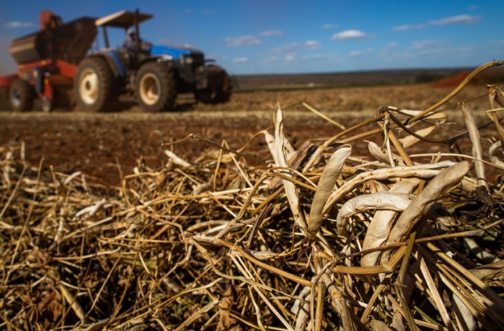 50293577583 c22fb76de3 k