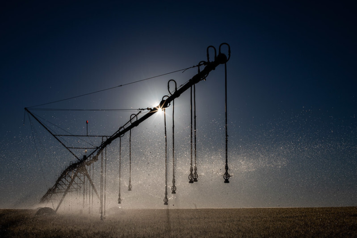 Dia da irrigacao 2022