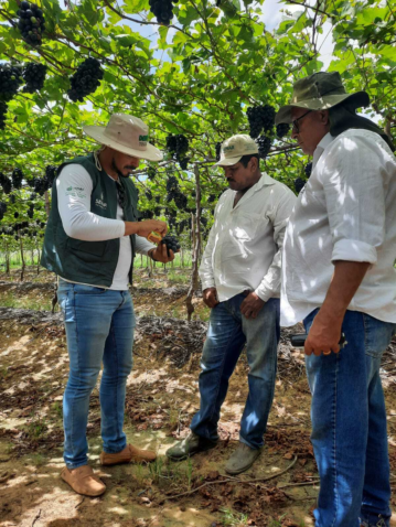 Whats App Image 2022 06 29 at 11 47 36