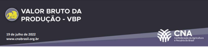 Vbp cna julho 2022