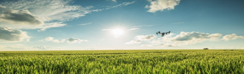 Drone campo 436505053 748x400