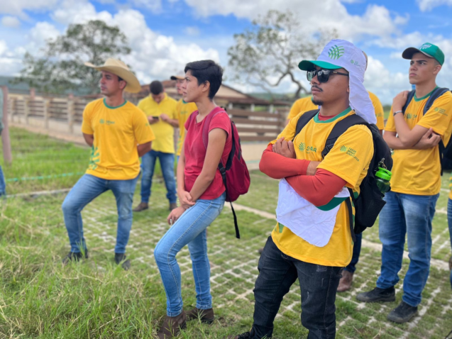 Senar Jovem em Bovinocultura de Corte | Foto: Samara Fagundes