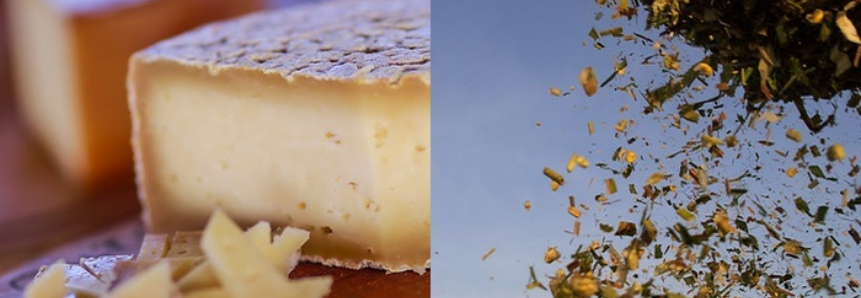 Senar lança cursos de queijos artesanais e produção de silagem