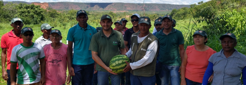 Em Corrente, produtores de melancia melhoram produção e renda familiar após a chegada da ATeG do Senar