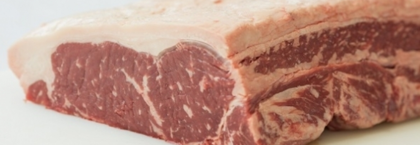 Exportação de carne bovina in natura sobe 17,6% em agosto
