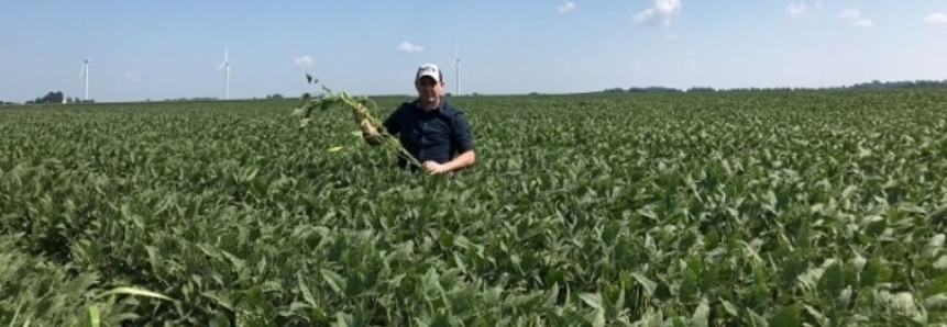 CNA visita propriedades de soja e milho em cinco estados americanos