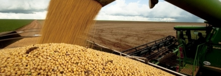 Produção de grãos está estimada em 228,6 milhões de toneladas
