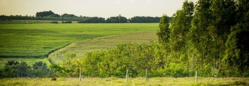 Agricultura lidera a preservação ambiental
