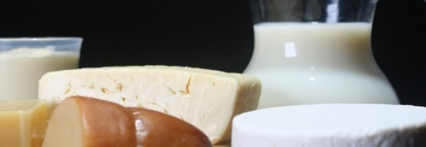 Senado aprova lei que beneficia pequenos produtores de queijos e embutidos