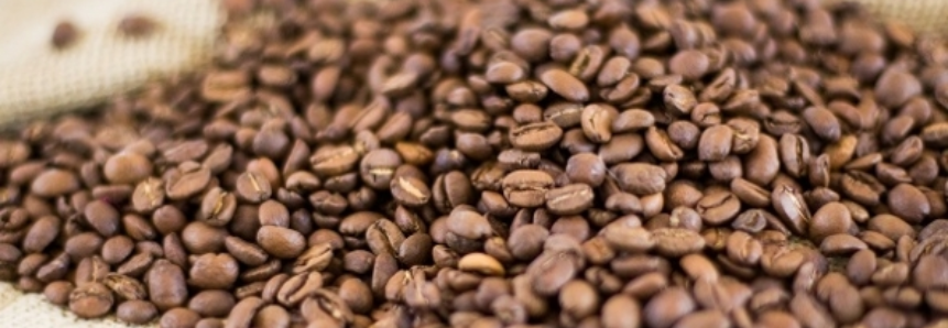 Produção de café será recorde em 2018
