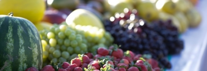 Encontro de Produtores debate segurança na produção de frutas e hortaliças