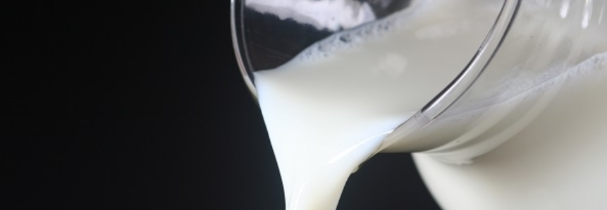 Ano de 2018 é de recuperação para o setor leiteiro no Brasil
