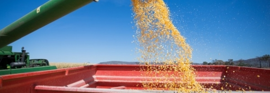 Panorama da colheita da safra de verão e semeadura da segunda safra de milho