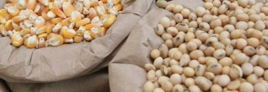 Soja e milho puxam alta de 13% no resultado do PIB agropecuário no Brasil