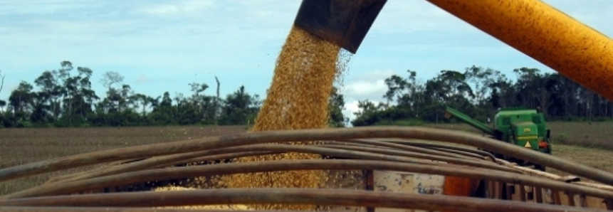 Abiove prevê aumento de 2,3% nas exportações do complexo soja em 2018