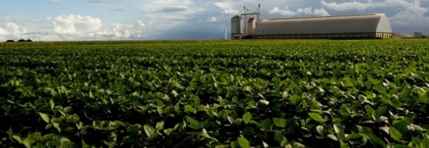 RO: Capital avança na produção de soja