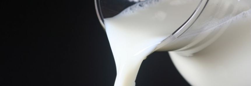 Após bons resultados, meta dos produtores de leite de SC é exportar