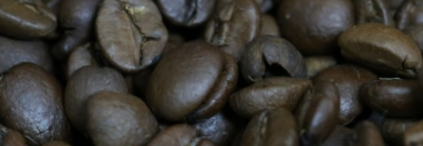 Espírito Santo é o 2º maior produtor de café do Brasil
