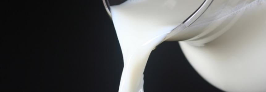 Queda nos preços do leite no mercado spot