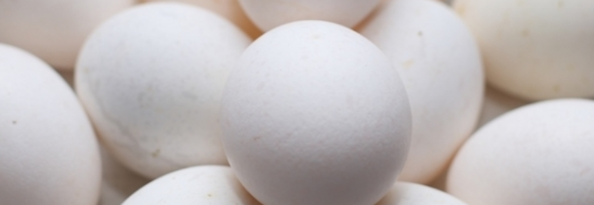 Ovos: lentidão nas vendas ao atacado e varejo