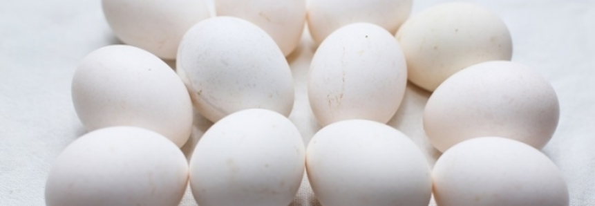 Ovos: em nove meses, volume 6,5% maior