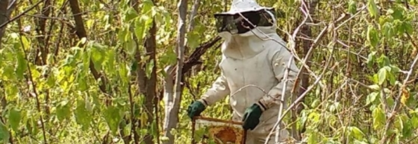 SENAR participa de Dia de Campo sobre produção de mel no Sertão Paraibano