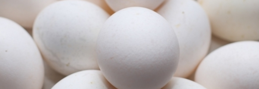 Ovos: Com redução da demanda, preços recuam
