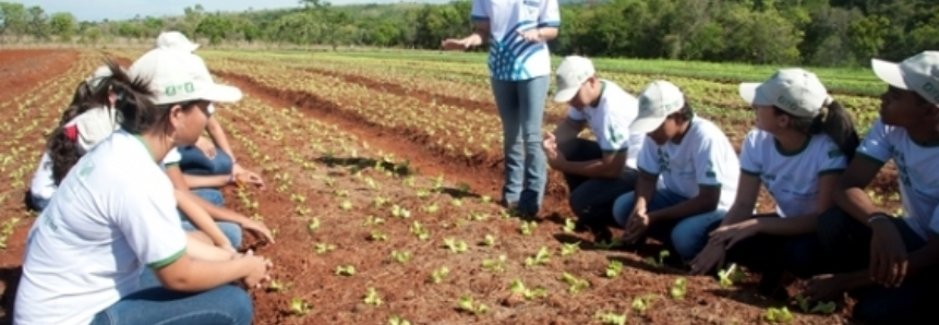 SENAR/SC inicia curso do Pronatec em Horticultor Orgânico no município de Paulo Lopes