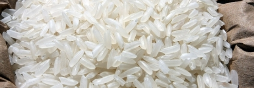 Indústria do arroz definiu mercados prioritários para exportações