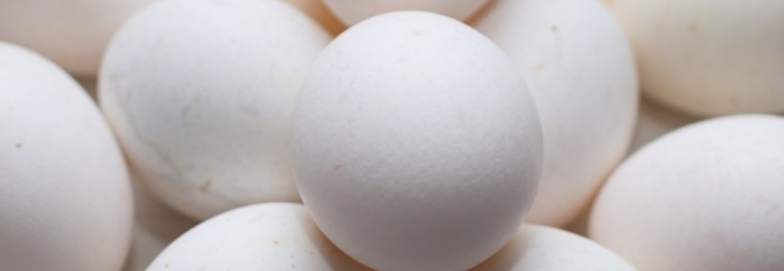 Ovos: Oferta começa a dar sinais de elevação; preço segue estável
