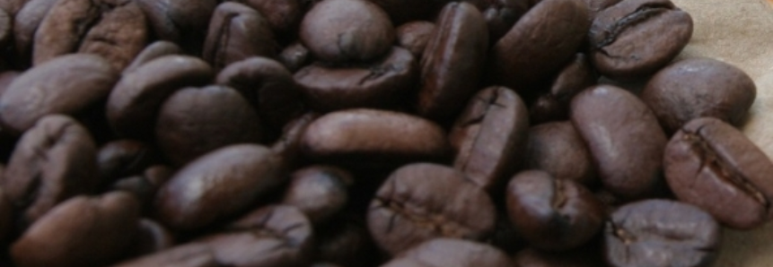 Brasil precisa elevar em 40% safra de café até 2030 para garantir dominância, diz OIC