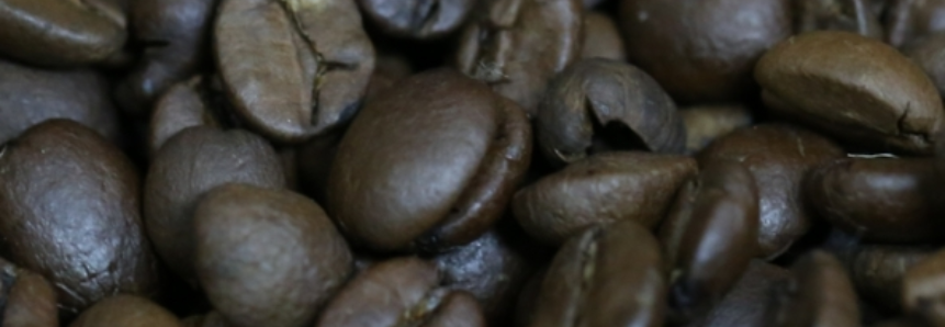 Exportações de café apresentam crescimento em outubro de 13,2% na comparação com o mês anterior