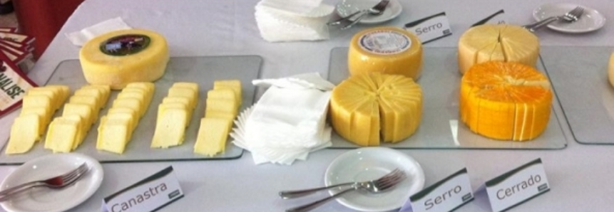 CNA reforça necessidade do registro de queijos artesanais