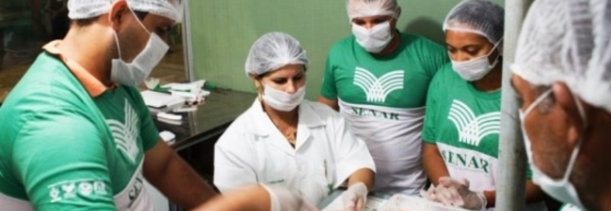 SENAR-MT e Sindicatos Rurais oferecem treinamento de beneficiamento de carne suína