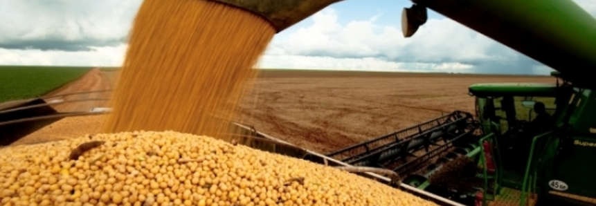 Plantio da soja chega a 20% no Brasil, atrás do ano passado, diz AgRural