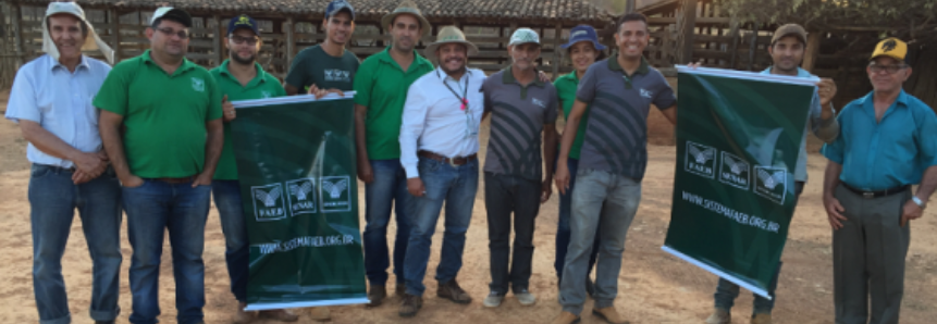 Técnicos de campo da região oeste participam de Consultoria Master do SENAR Bahia