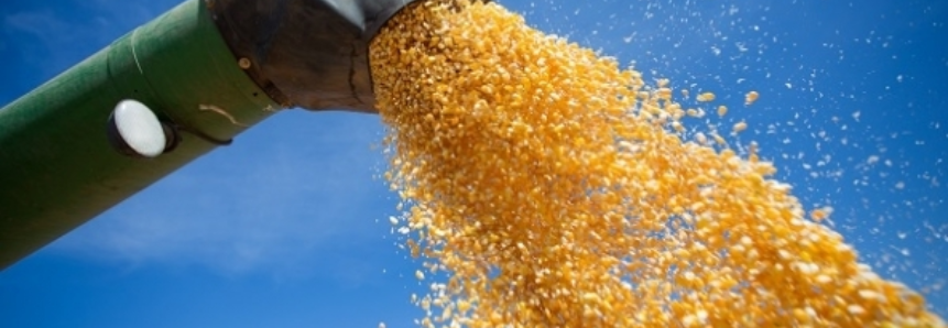 Produtores de milho e soja focam em exportações na safra verão