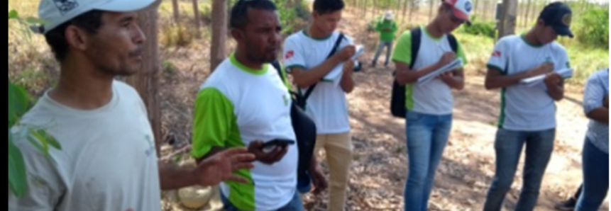 Universitários visitam experimentos do Projeto Biomas na Amazônia