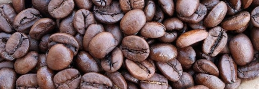 Café: Bolsa de Nova York dá sequência aos ganhos da véspera nesta manhã de 6ª feira ainda em ajustes