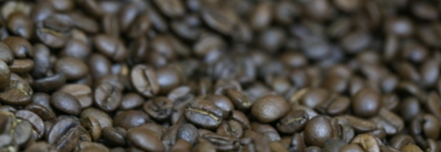 Produção brasileira de café deve alcançar 44,77 milhões de sacas