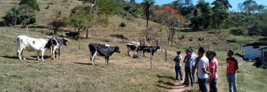 Produtores e trabalhadores rurais de Materlândia participam de curso sobre alimentação para o gado leiteiro