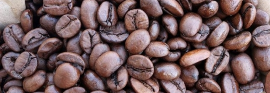 Seminário vai discutir exportação de Café