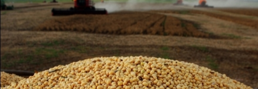 Conab: Brasil deve colher 238,7 milhões de toneladas de grãos